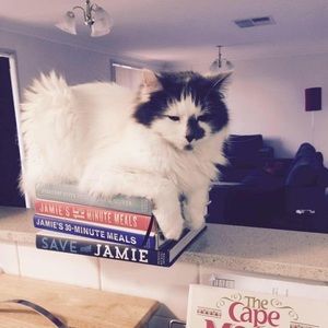 Meet your Posher, Tougeeda